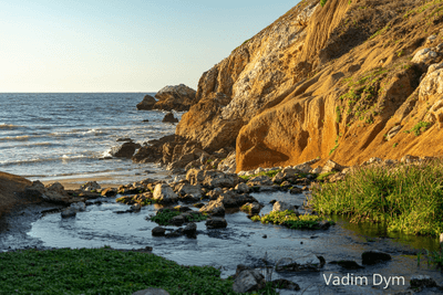 Vadim%20dym%20pacifica%20photographer
